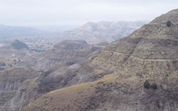 Theodore Roosevelt National Park 39 | Obraz na stenu