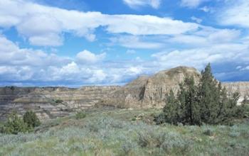 Theodore Roosevelt National Park 4 | Obraz na stenu