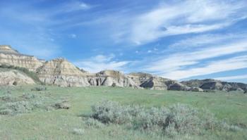 Theodore Roosevelt National Park 45 | Obraz na stenu