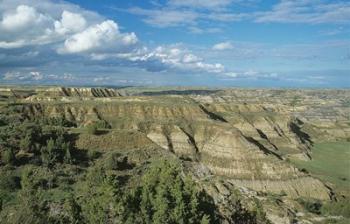 Theodore Roosevelt National Park 7 | Obraz na stenu