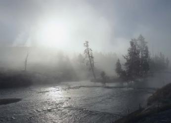 Yellowstone 5 | Obraz na stenu