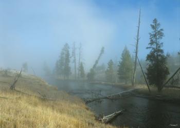 Yellowstone 6 | Obraz na stenu