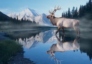 Reflections Of Glacier | Obraz na stenu