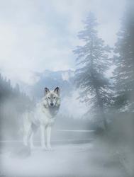White Mist Wolf 2 | Obraz na stenu