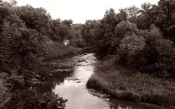 Buffalo River 2 | Obraz na stenu
