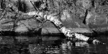 Ash River 11 | Obraz na stenu