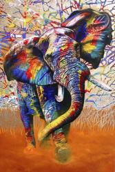 African Colours | Obraz na stenu