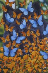 Autumn Butterflies | Obraz na stenu