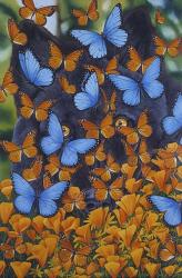 Autumn Butterflies | Obraz na stenu