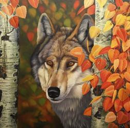 Colours Of The Wolf | Obraz na stenu