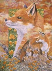 Foxes | Obraz na stenu