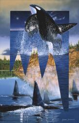 Orca Reflections | Obraz na stenu