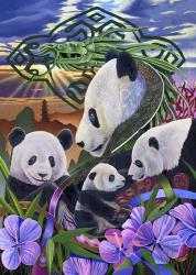 Panda Play | Obraz na stenu
