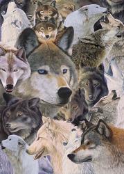 Wolves Alive | Obraz na stenu