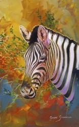 Zebra Days | Obraz na stenu
