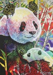 Rainbow Panda | Obraz na stenu