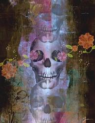 Skullminder | Obraz na stenu