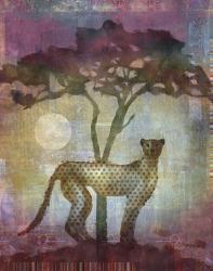 Africa Cheetah | Obraz na stenu