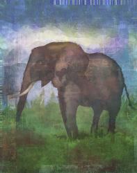 Africa Elephant | Obraz na stenu