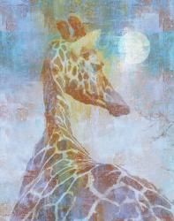 Africa Giraffe | Obraz na stenu