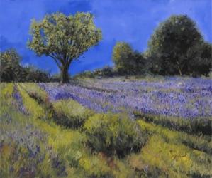 Il Campo Di Lavanda | Obraz na stenu