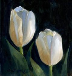 White Tulips | Obraz na stenu