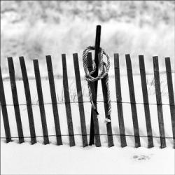 Rope And Fence | Obraz na stenu