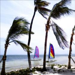 Breeze And Boats | Obraz na stenu