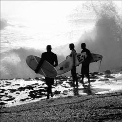 The Surfers | Obraz na stenu