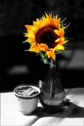 Sun Flower Vase | Obraz na stenu