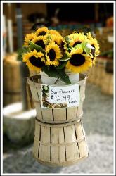 Sunflowers For Sale | Obraz na stenu