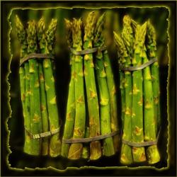 Asparagus | Obraz na stenu