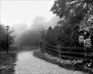 Rolling Fog Off The Walkway B/W | Obraz na stenu