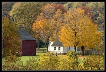 Colors Of Fall | Obraz na stenu