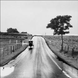 The Amish Road | Obraz na stenu