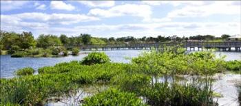 Nature Walkway | Obraz na stenu