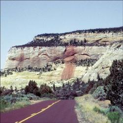 Zion National Park Road | Obraz na stenu