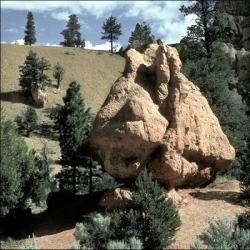 Bryce Canyon Boulder | Obraz na stenu