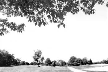Scenic View | Obraz na stenu