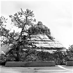 View From The Chapel B/W | Obraz na stenu