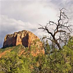 Mtn. Peak With Foliage | Obraz na stenu