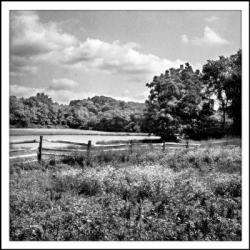 Open Field With Fence | Obraz na stenu