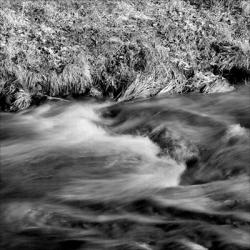 Swirl Of The River | Obraz na stenu