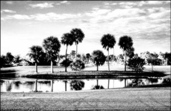 Scenic Florida | Obraz na stenu
