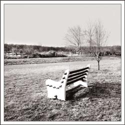 Bench Alone | Obraz na stenu