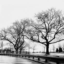 Parking Lot Morning | Obraz na stenu