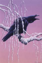 Raven | Obraz na stenu