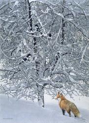 Fox In Snow | Obraz na stenu