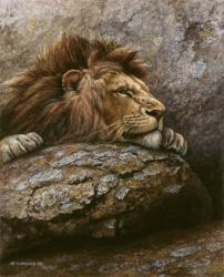 Lion Male 2 | Obraz na stenu