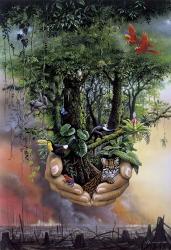 Save The Rainforest | Obraz na stenu